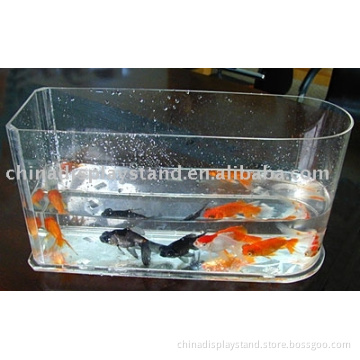 acrylic aquarium